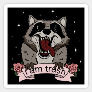 Raccoon - I am trash Magnet